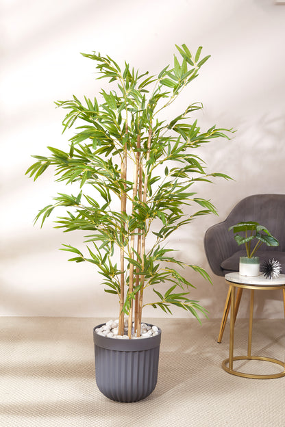 Artificial Dense Bamboo Plant - 5 Feet (With Black Base Pot)