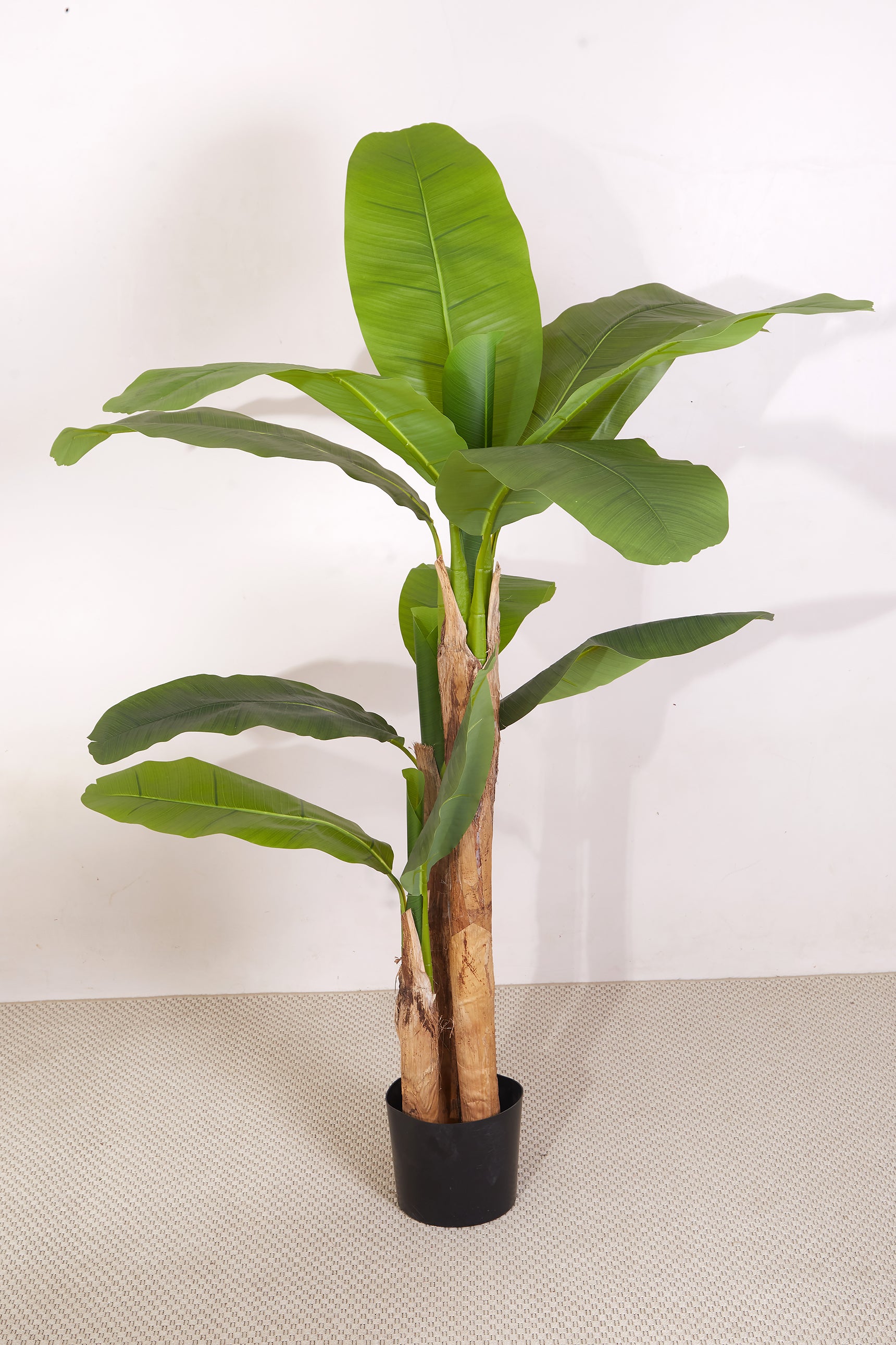Artificial Banana Plant - 5.5 Feet (With Black Base Pot)