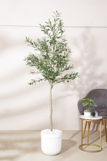 Artificial Dense Olive Plant - 5 Feet (With Black Base Pot)