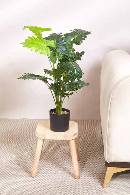 Artificial Philodendron Plant - 2 Feet (With Black Base Pot)