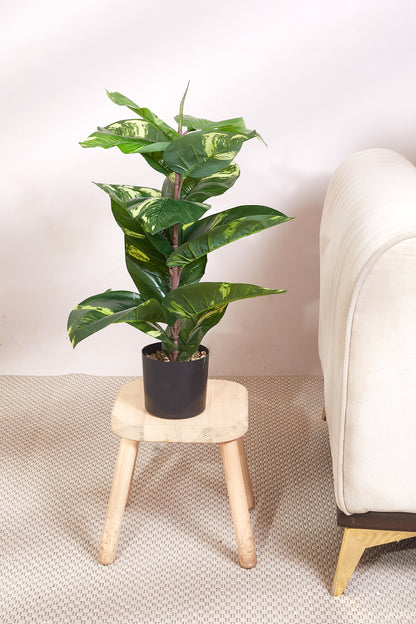 Artificial Varigated Plant - 2 Feet (With Black Base Pot)