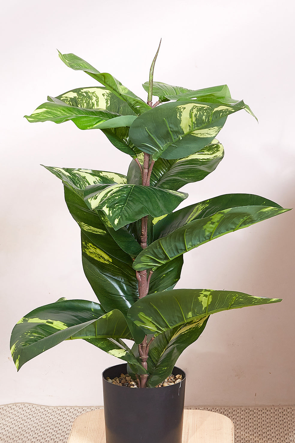 Artificial Varigated Plant - 2 Feet (With Black Base Pot)