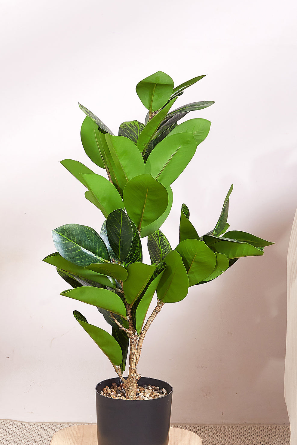 Artificial Rubber Plant - 2 Feet (With Black Base Pot)