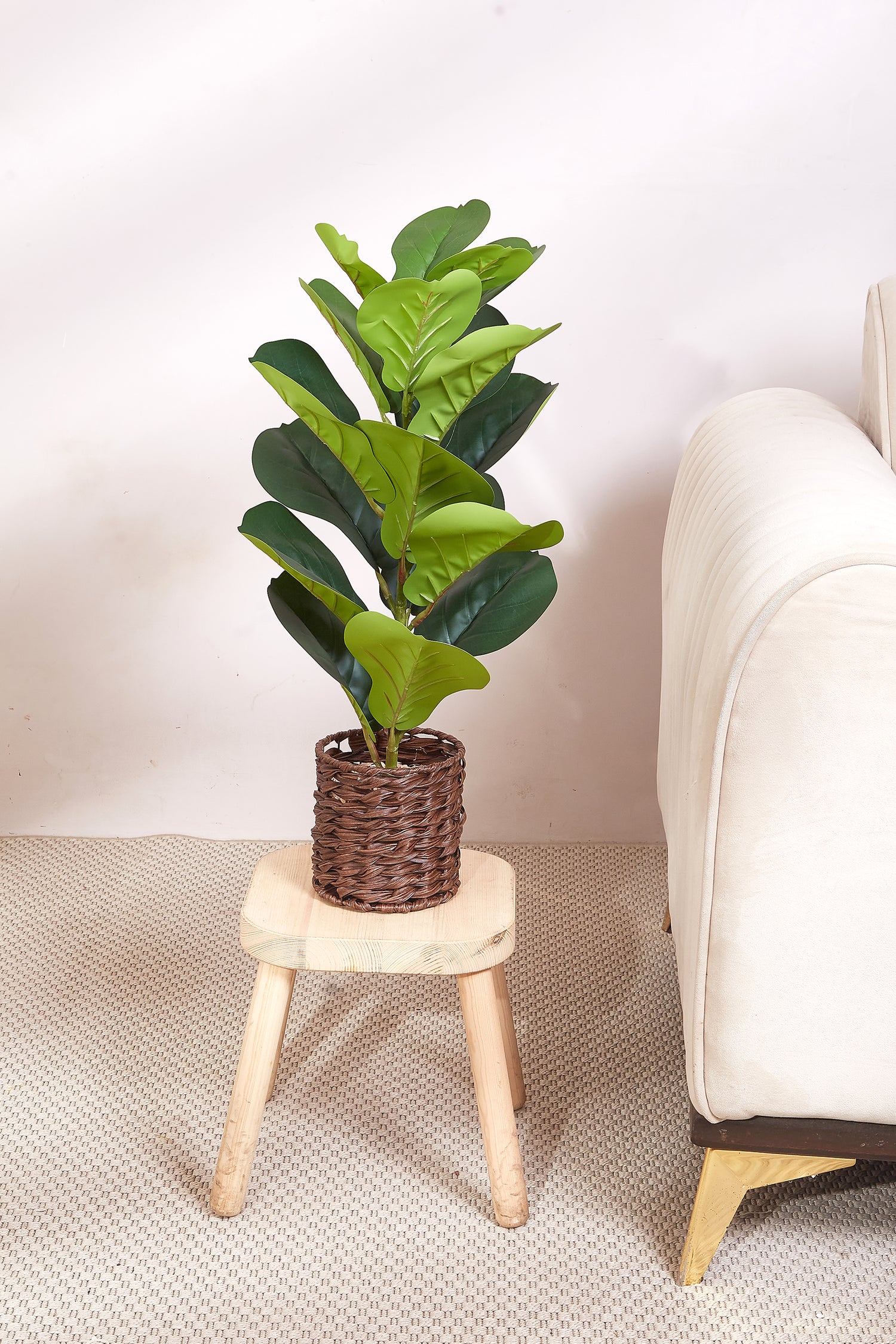 Brown Rattan Oasis Artificial Rubber Plant