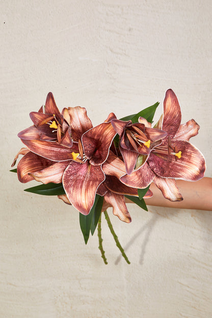Artificial Brown Lily - Set Of 2