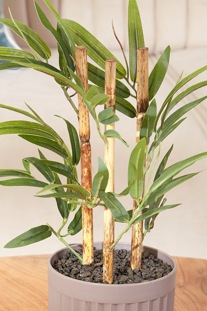 Artificial Short Plant - Bamboo Plant In Ribbed Pot