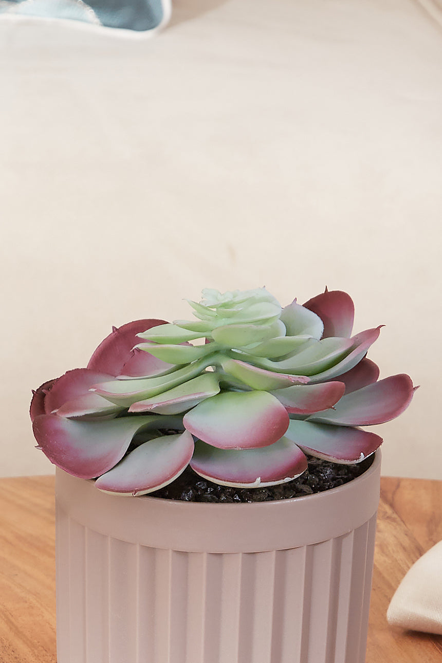 Artificial Succulent - Rosette In Ribbed Pot