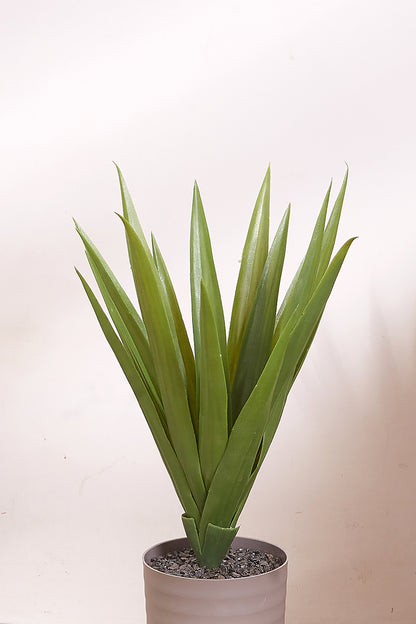 Artificial Short Plant- Aloe Vera Plant