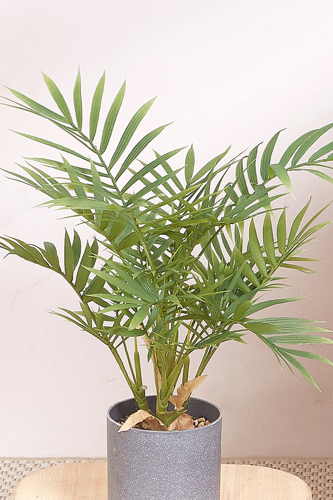 Artificial Short Areca Palm With Grey Pot