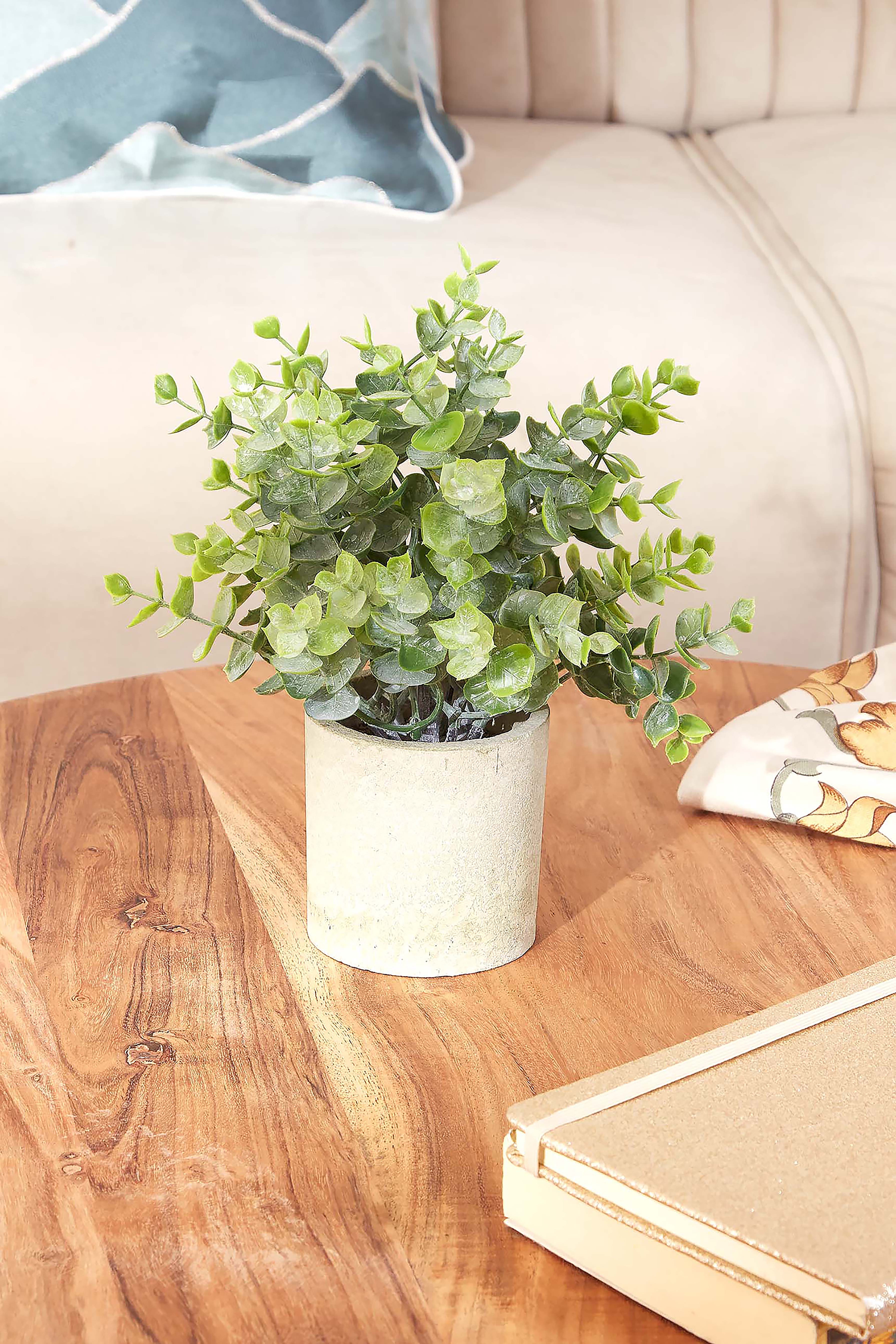 Artificial Eucalyptus Succulent With Concrete Pot