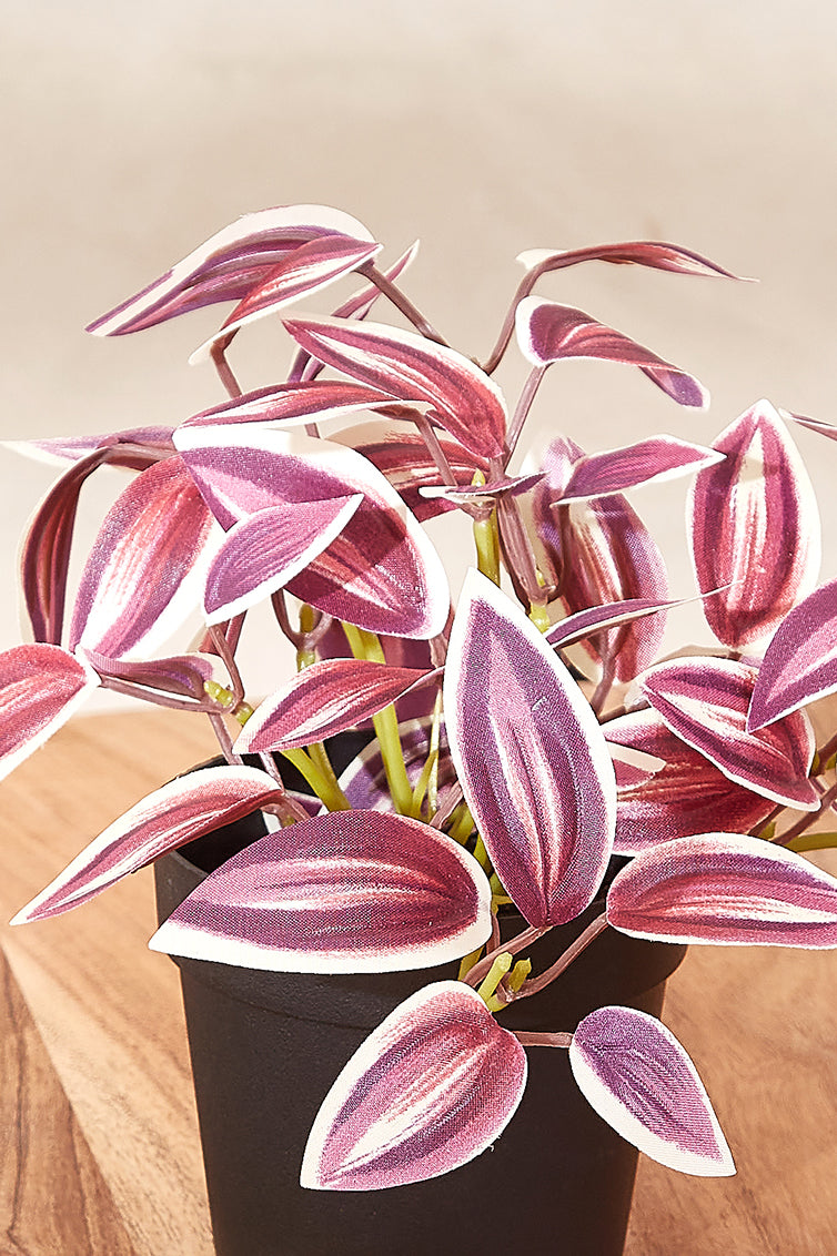 Artificial Purple Zebrine Succulent