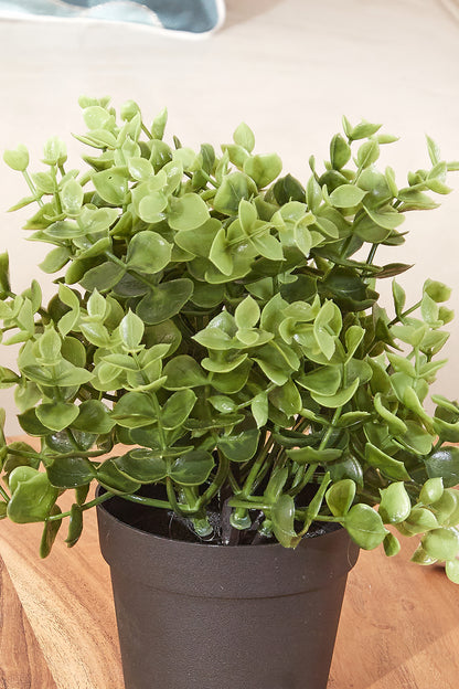 Artificial Eucalyptus Potted Plant