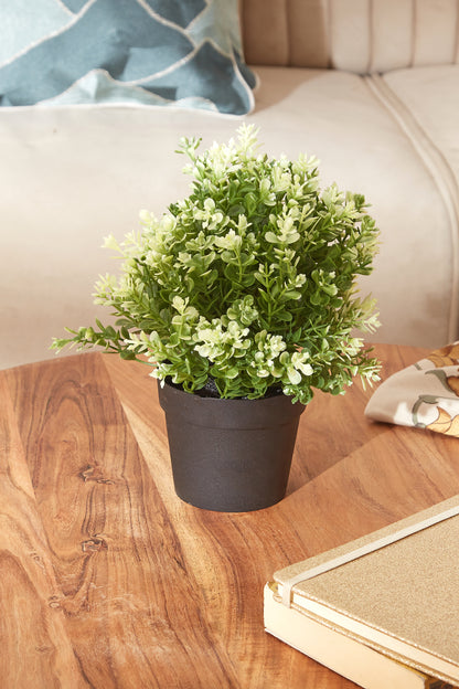 Artificial Hebe Potted Plant