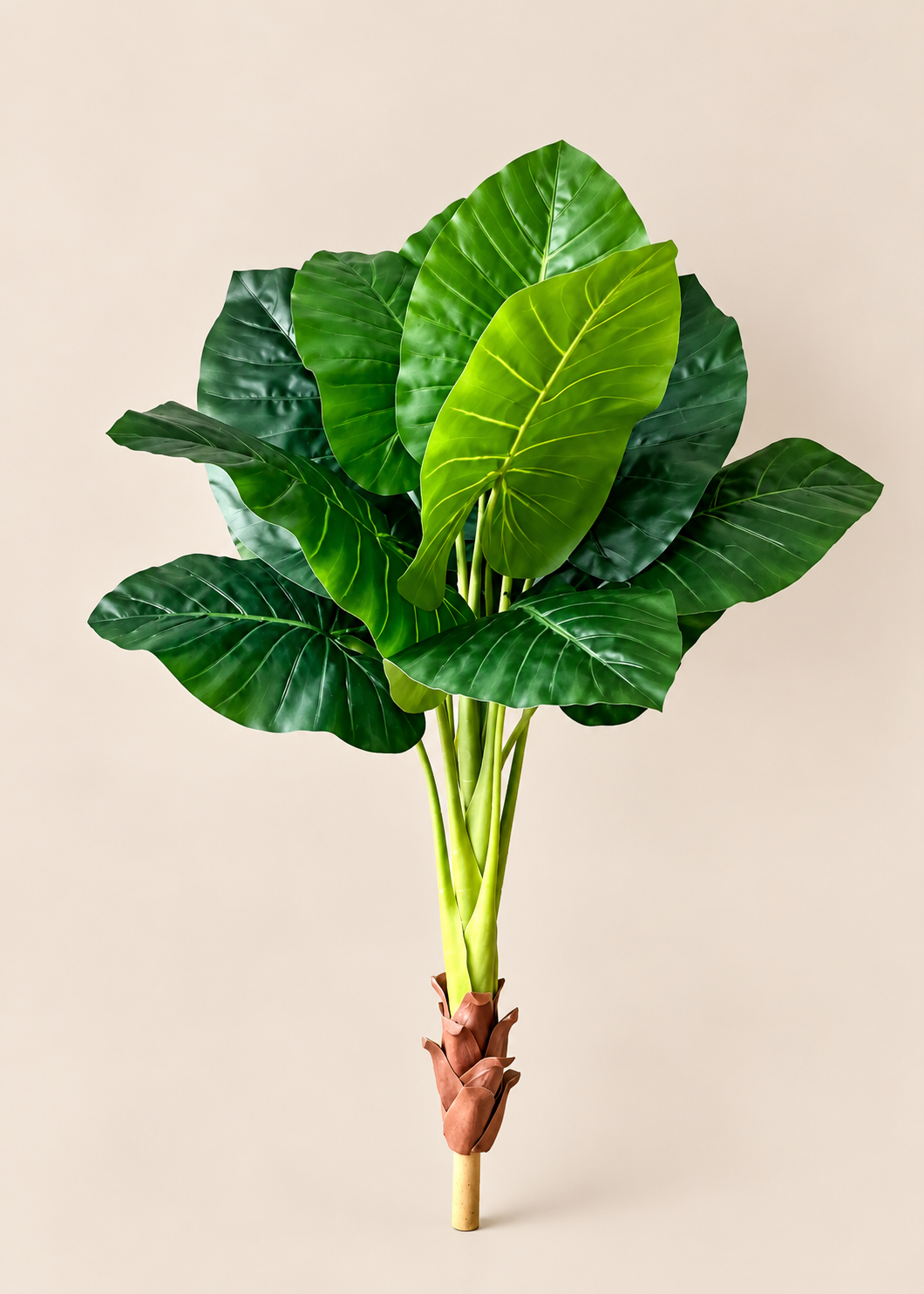 Artificial Alocasia Broad Leaf Plant - 4 Feet