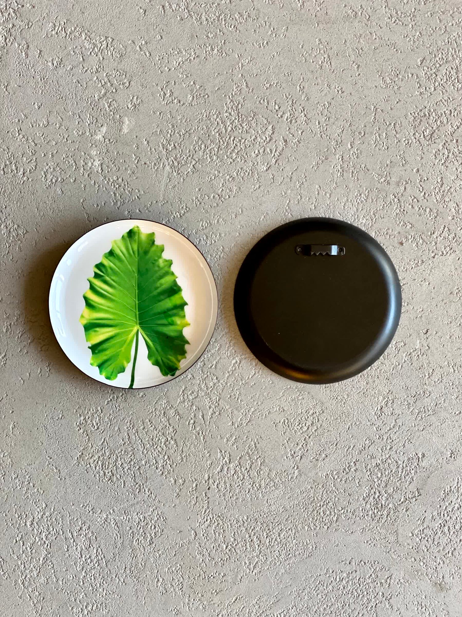 Botanic Wall Plates (Set of 6)