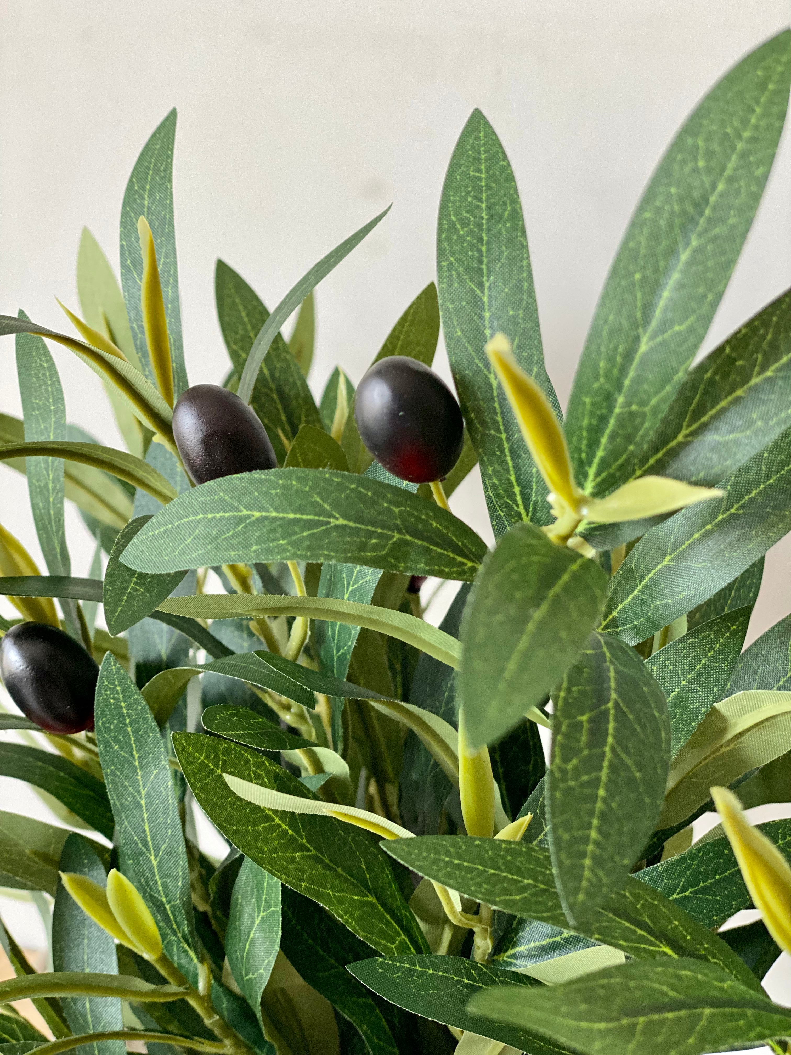 Artificial Olive Stems (Set of 4)