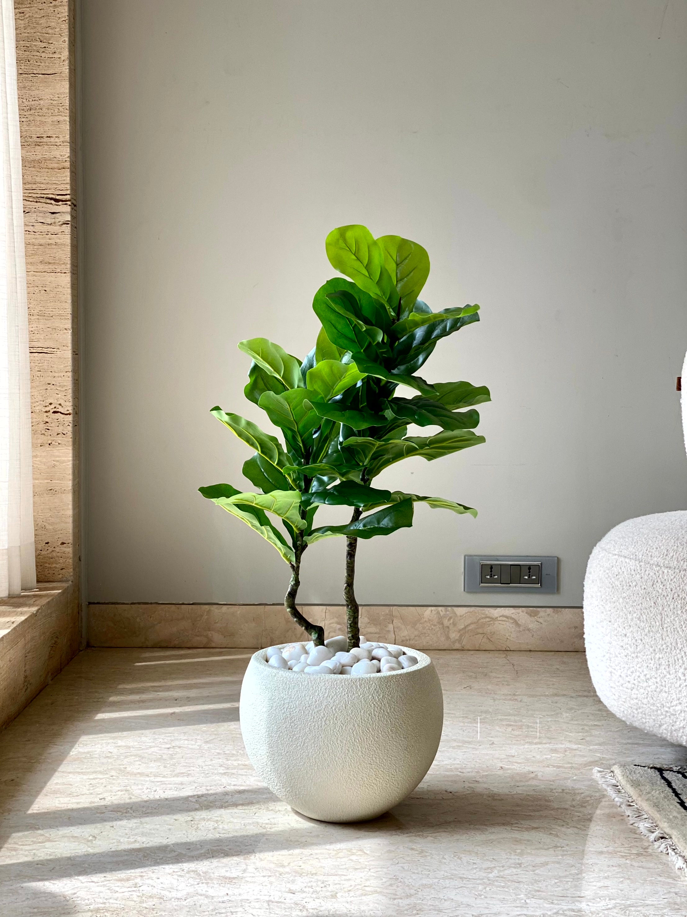 Artificial Fiddle Leaf Fig Tree - 3 Feet