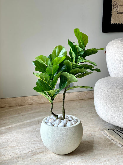 Artificial Fiddle Leaf Fig Tree - 3 Feet