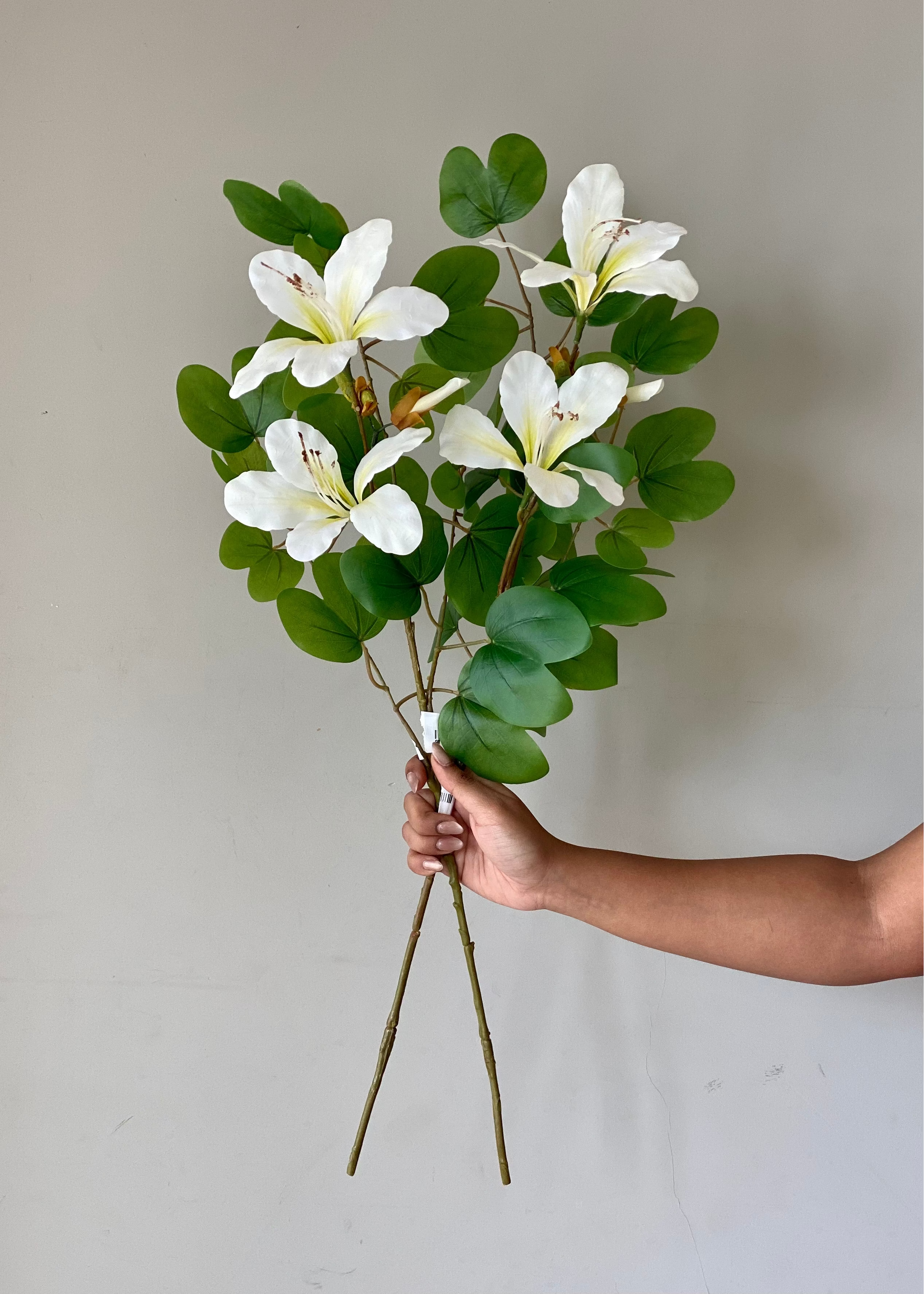 Artificial Bauhinia Flower Stem - White (Set of 2)