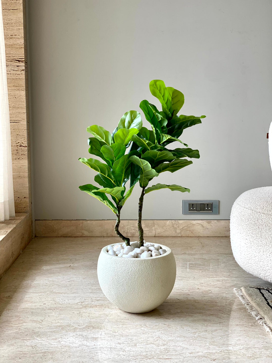 Artificial Fiddle Leaf Fig Tree - 3 Feet