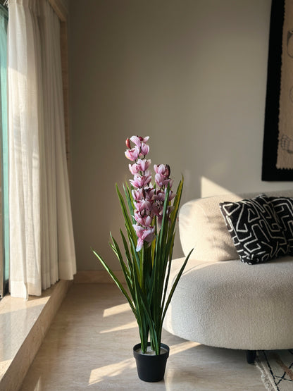 Artificial Boat Orchid Plant - 3.5 Feet