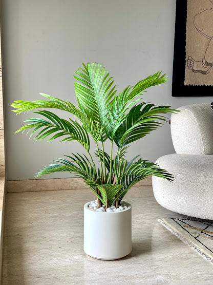 Artificial Palm Tree - 3.5 Feet