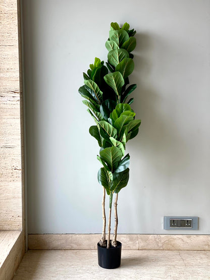 Artificial Fiddle Leaf Fig Tree - 5 Feet