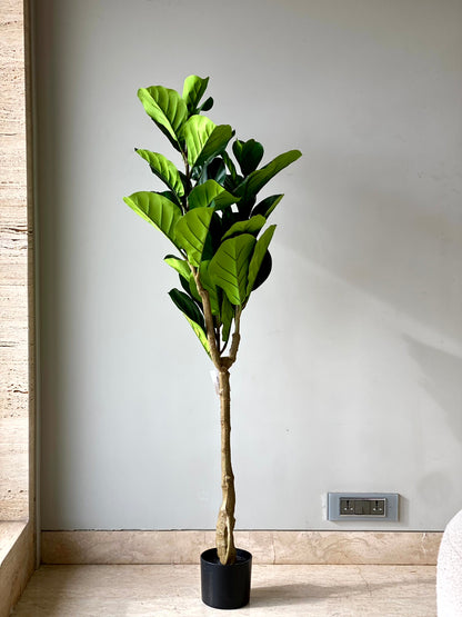 Artificial Fiddle Leaf Fig Tree - 4.9 Feet