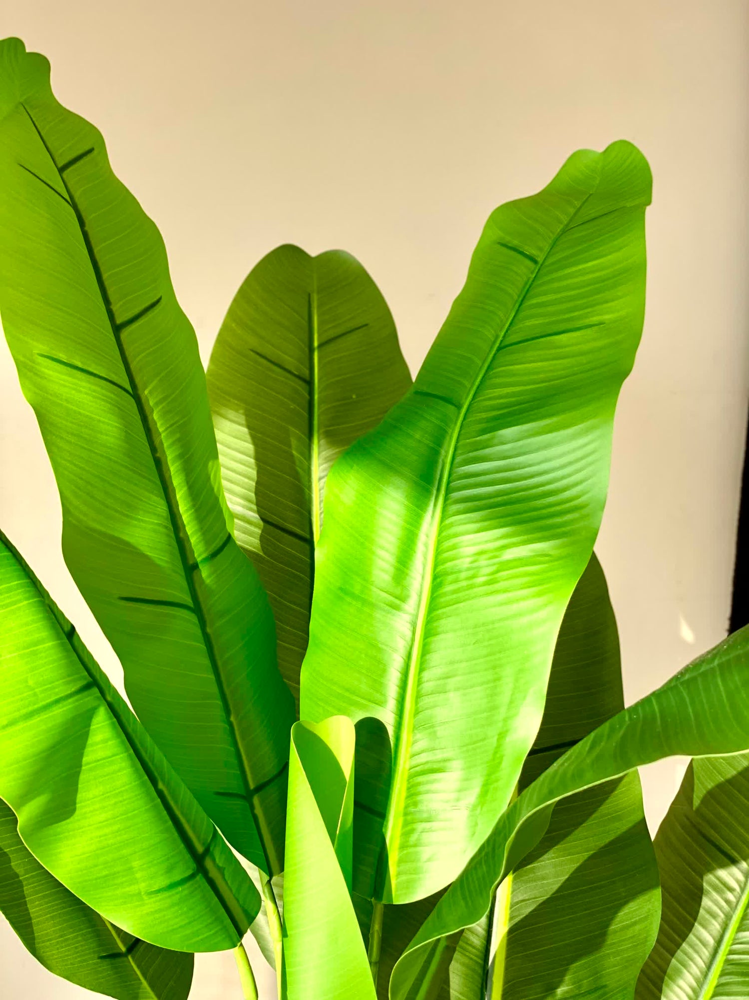 Artificial Banana Palm Plant - 4 Feet