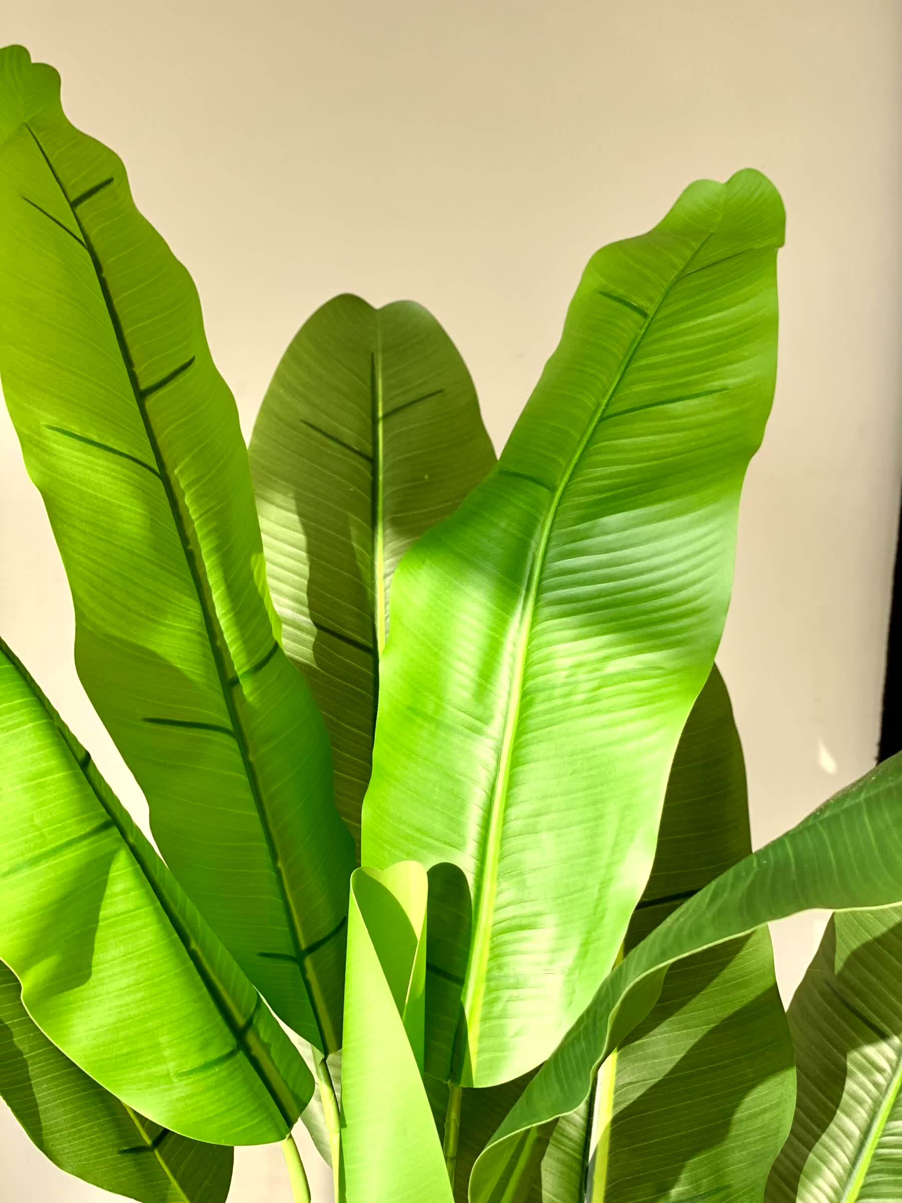 Artificial Banana Palm Plant - 4 Feet