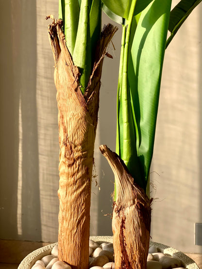 Artificial Banana Palm Plant - 4 Feet