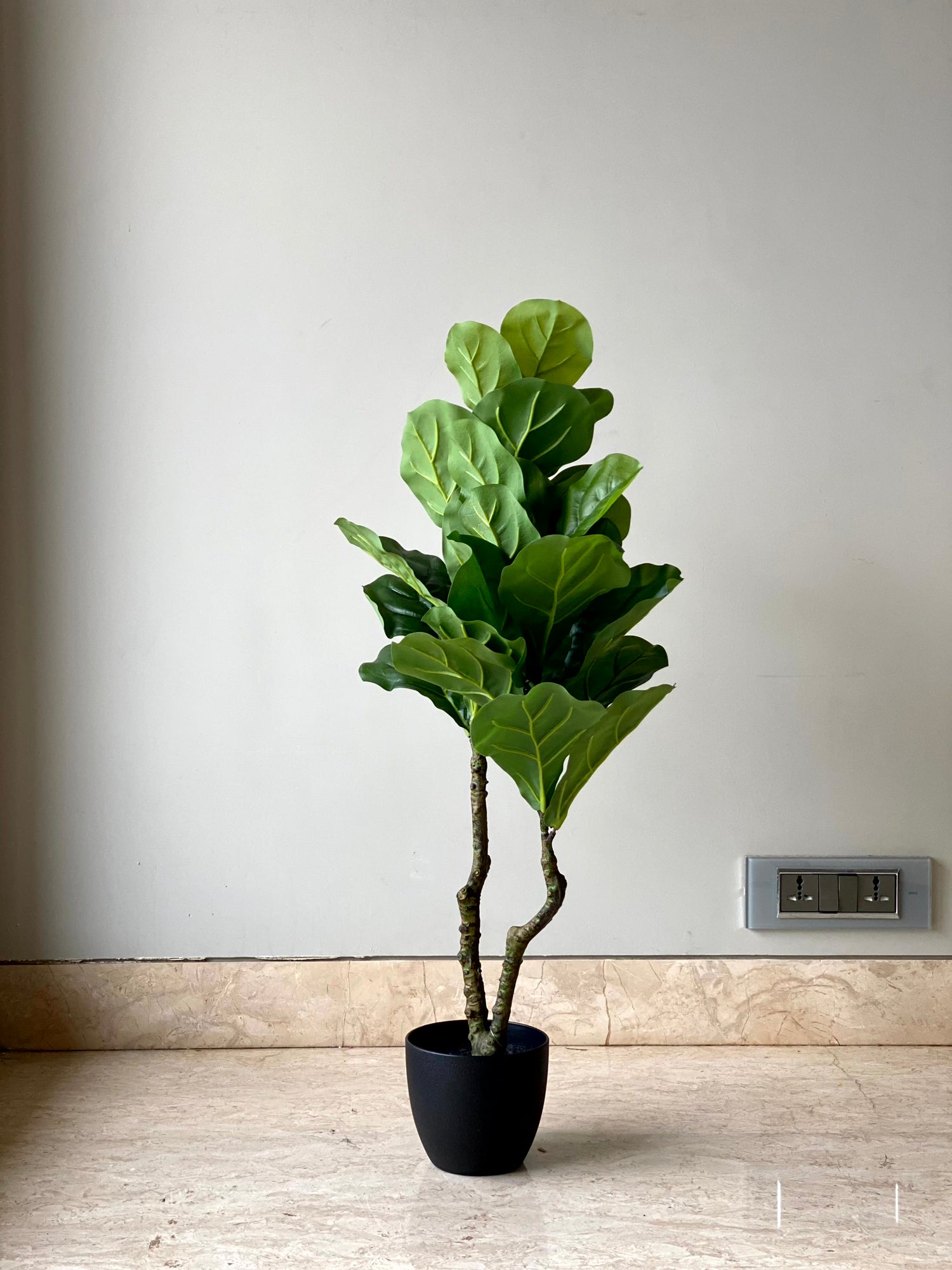 Artificial Fiddle Leaf Fig Tree - 3 Feet