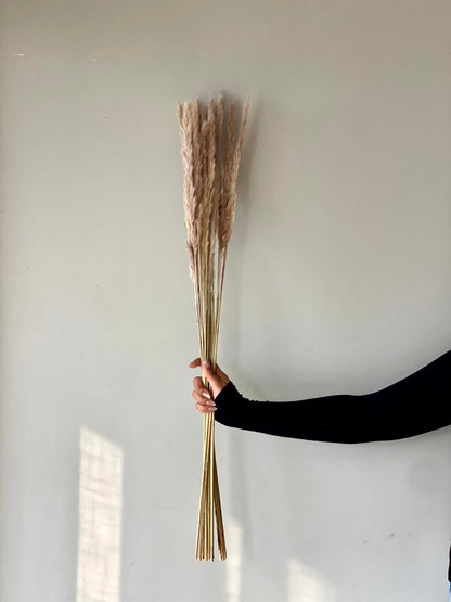 Artificial Pampas Stem - Set of 12