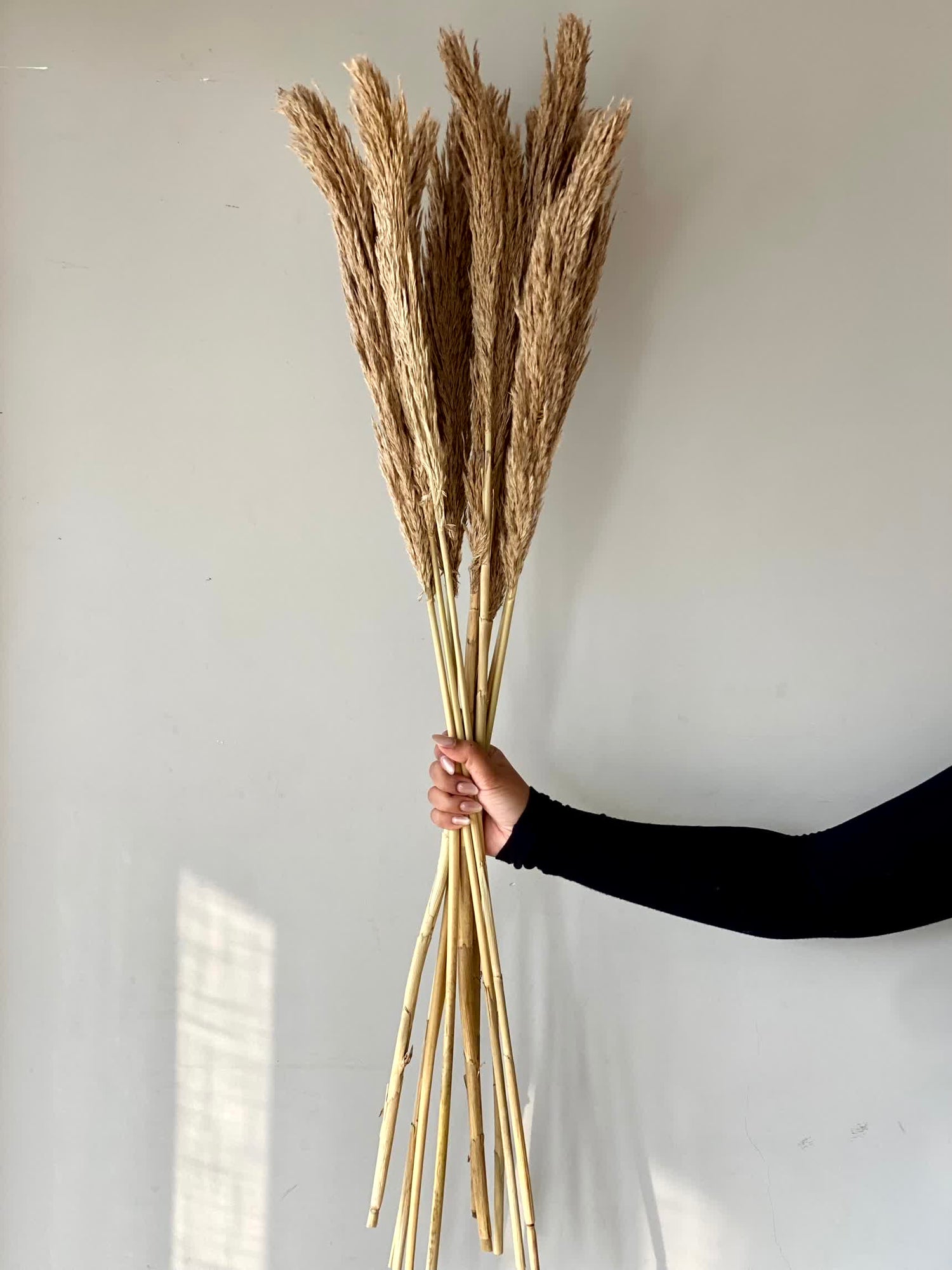 Artificial Foxtail Stem - Set of 8