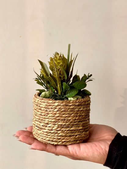 Artificial Jute Bonsai Pot