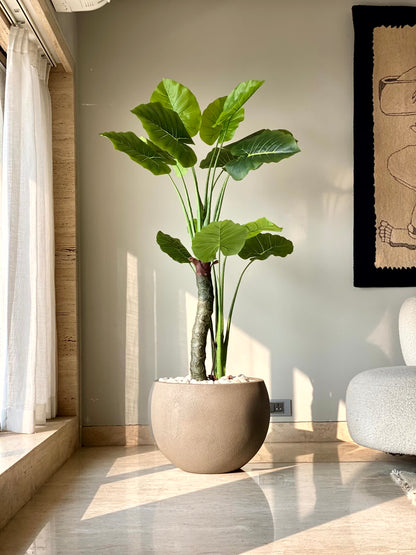 Lithos Planters - Mud Brown