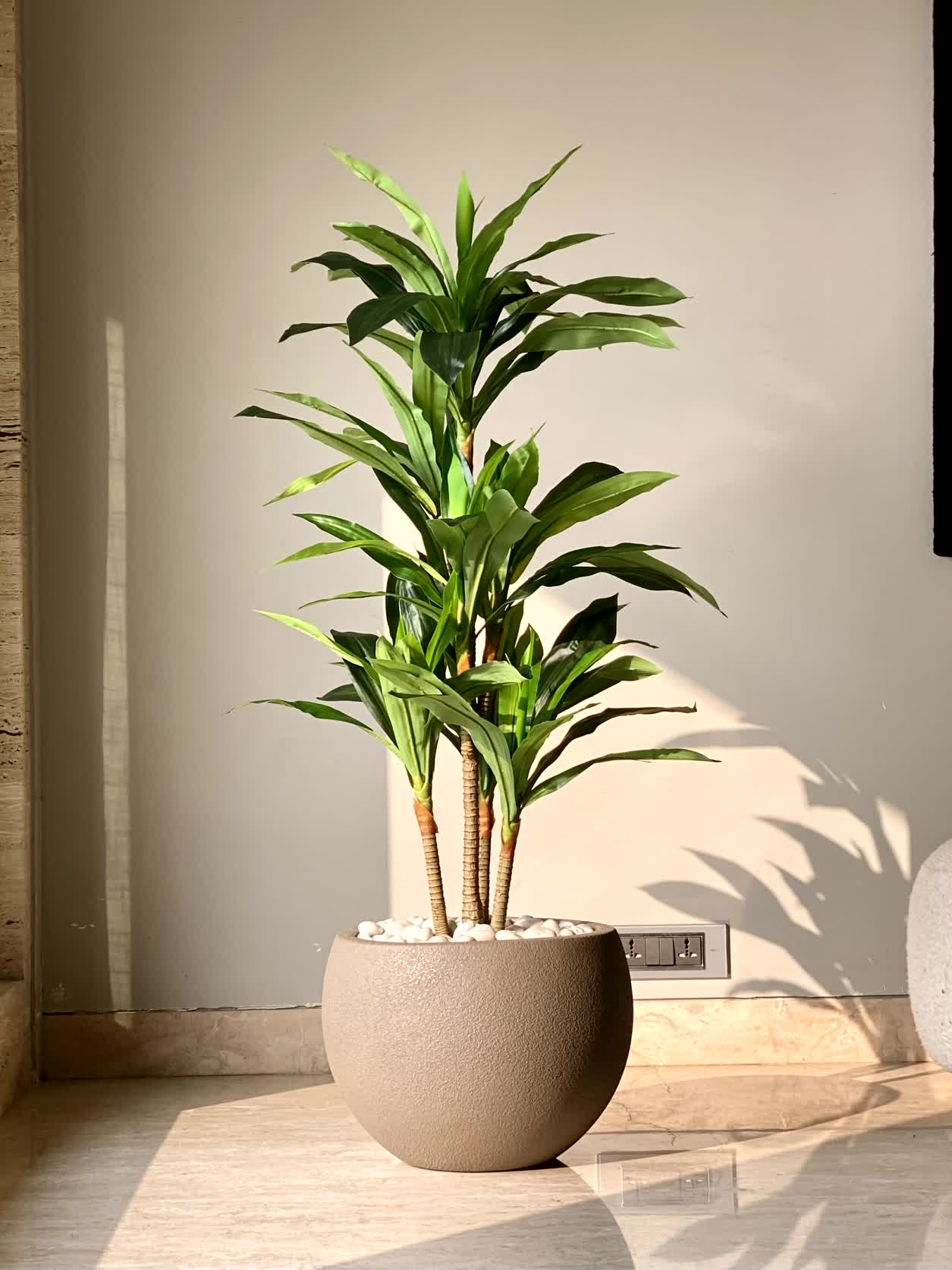 Artificial Forest Dracaena Plant - 4 Feet