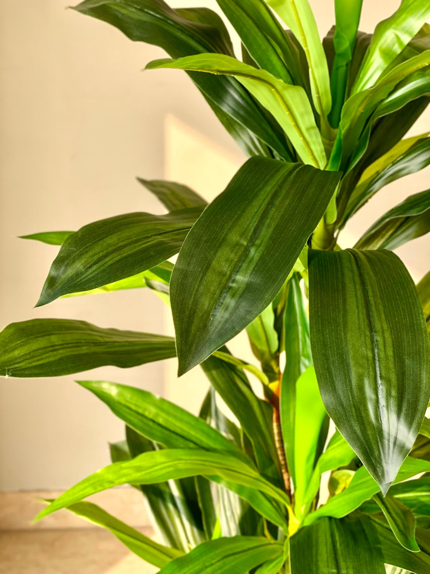 Artificial Forest Dracaena Plant - 4 Feet