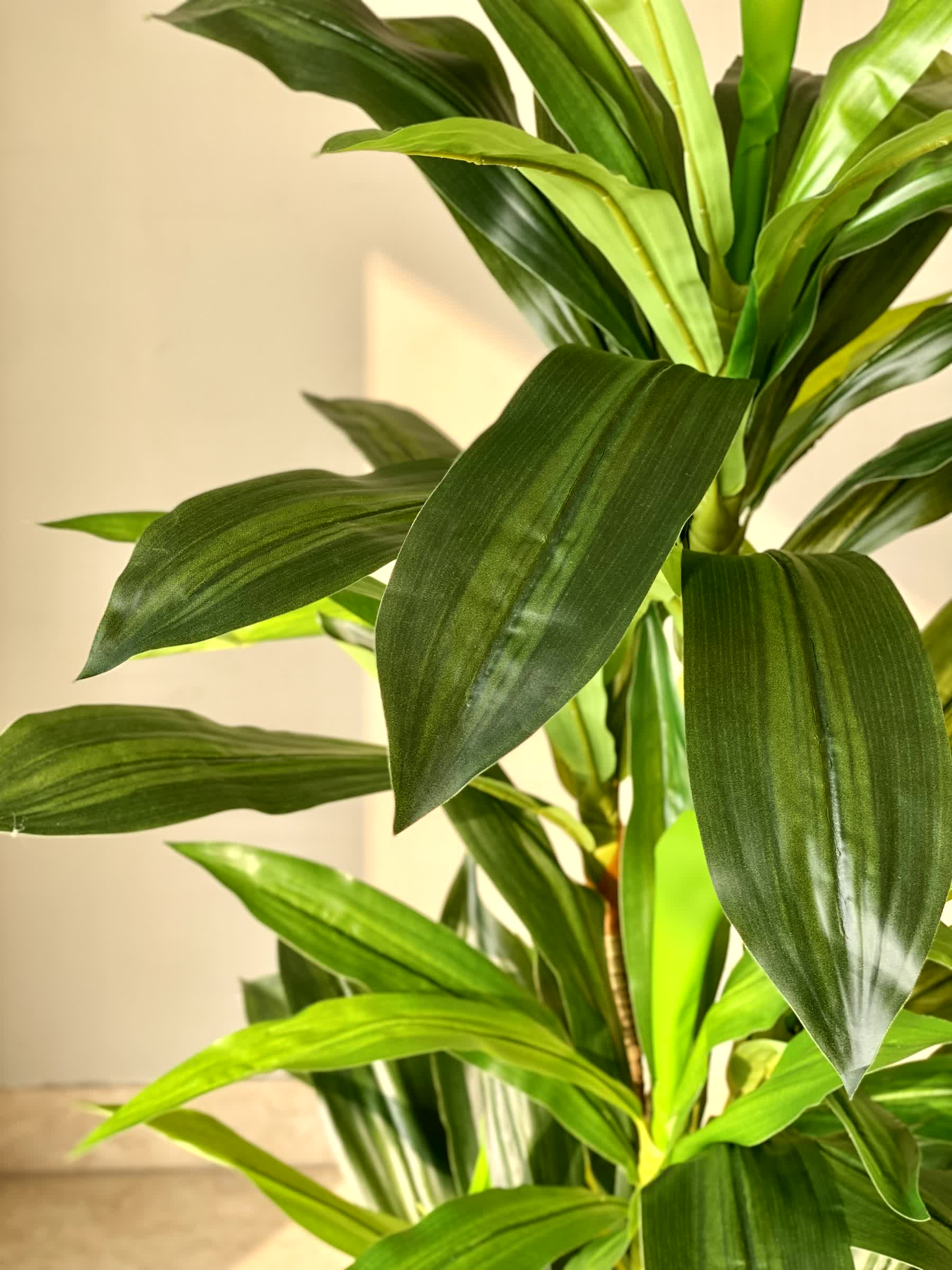 Artificial Forest Dracaena Plant - 4 Feet