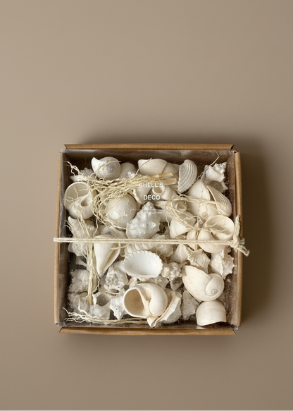 Artificial Assorted Shell Set