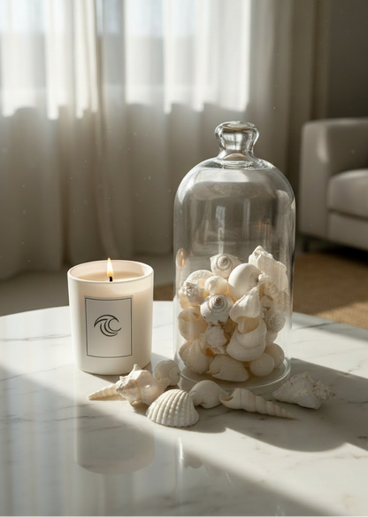 Artificial Assorted Shell Set