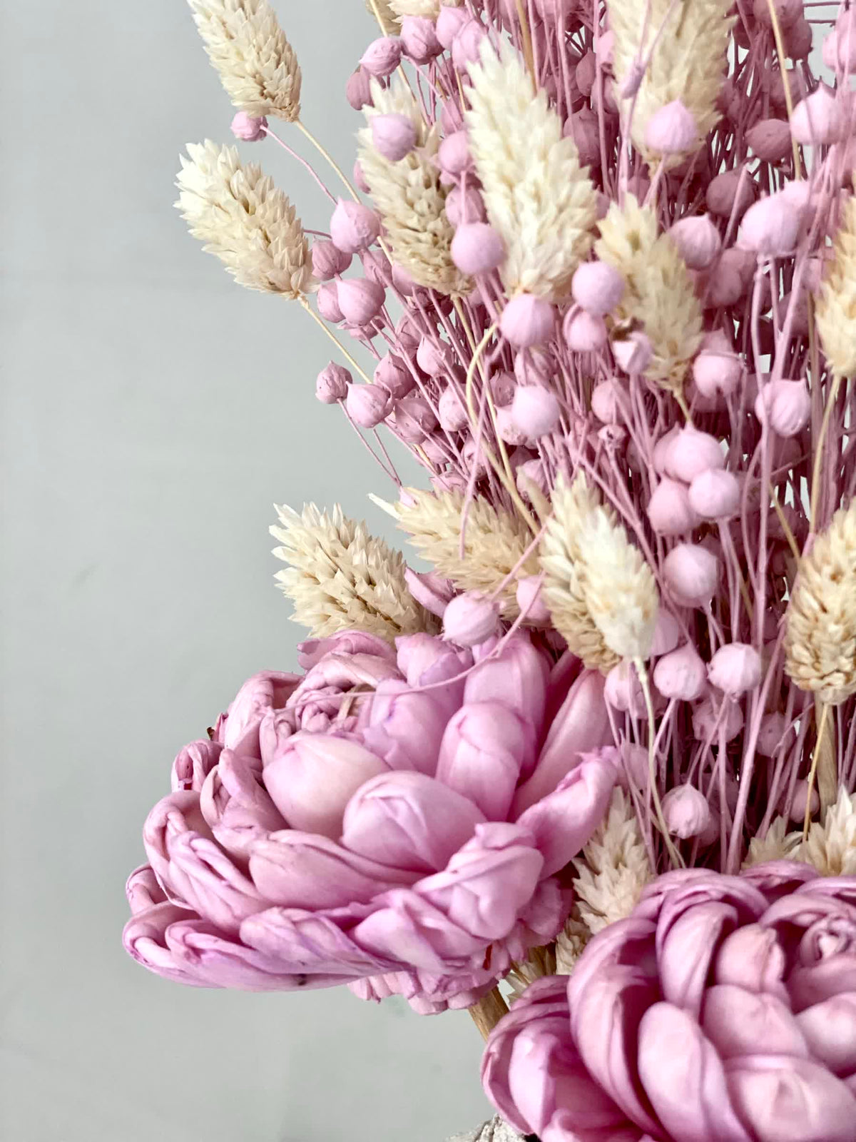 Blush Muse Bunch
