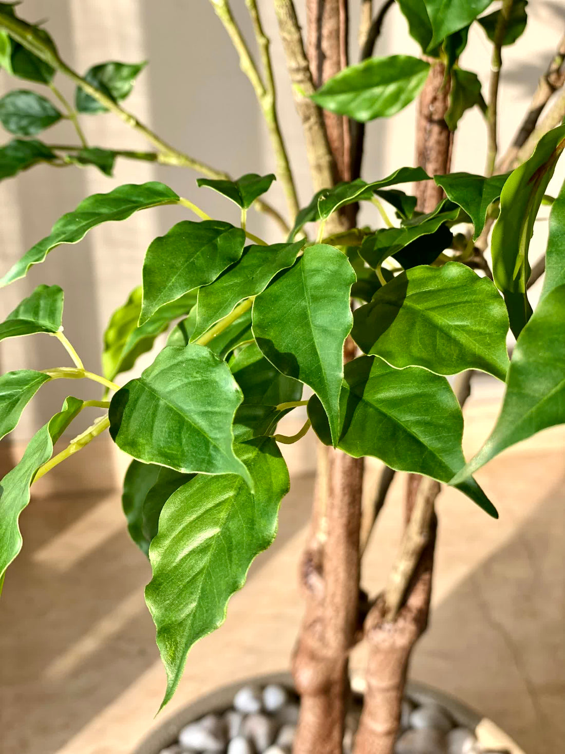 Artificial China Sinica Plant - 6 Feet