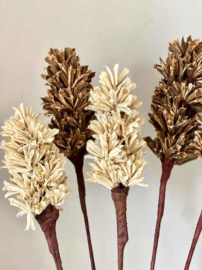 Sesame Seed Sticks – Set of 6