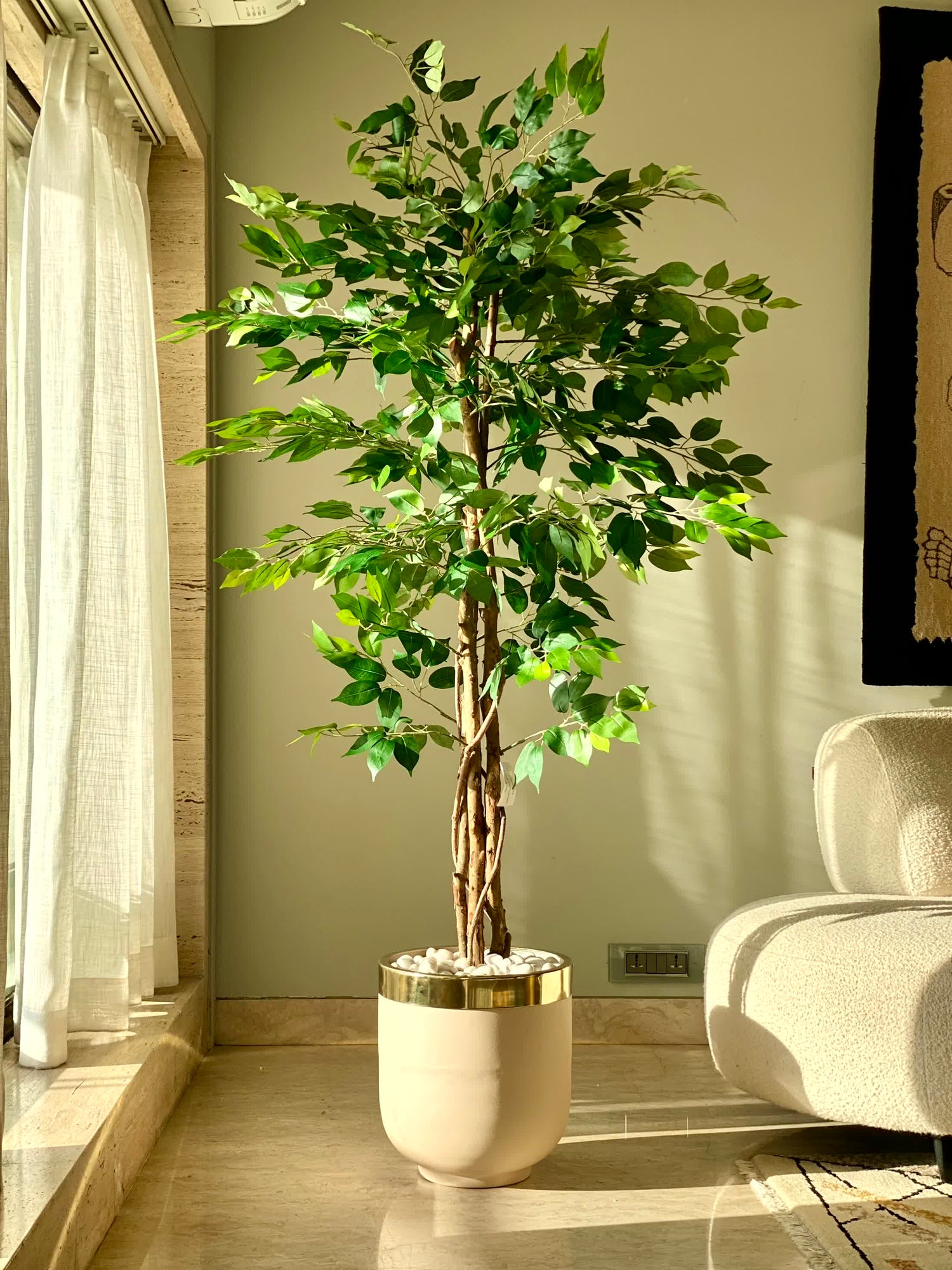 Artificial Dried Ficus Plant - 6 Feet