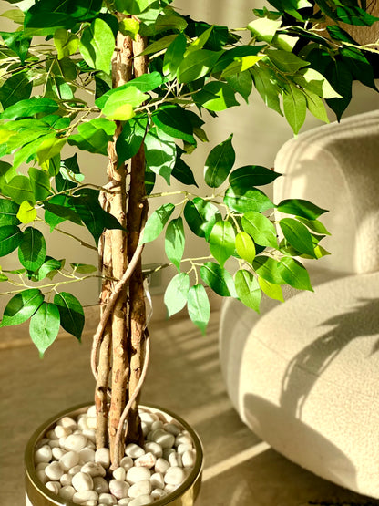 Artificial Dried Ficus Plant - 6 Feet