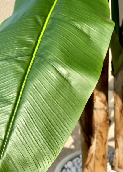 Artificial Giant Banana Plant - 8 Feet