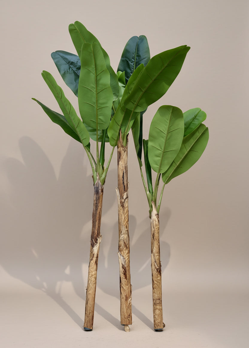 Artificial Giant Banana Plant - 8 Feet