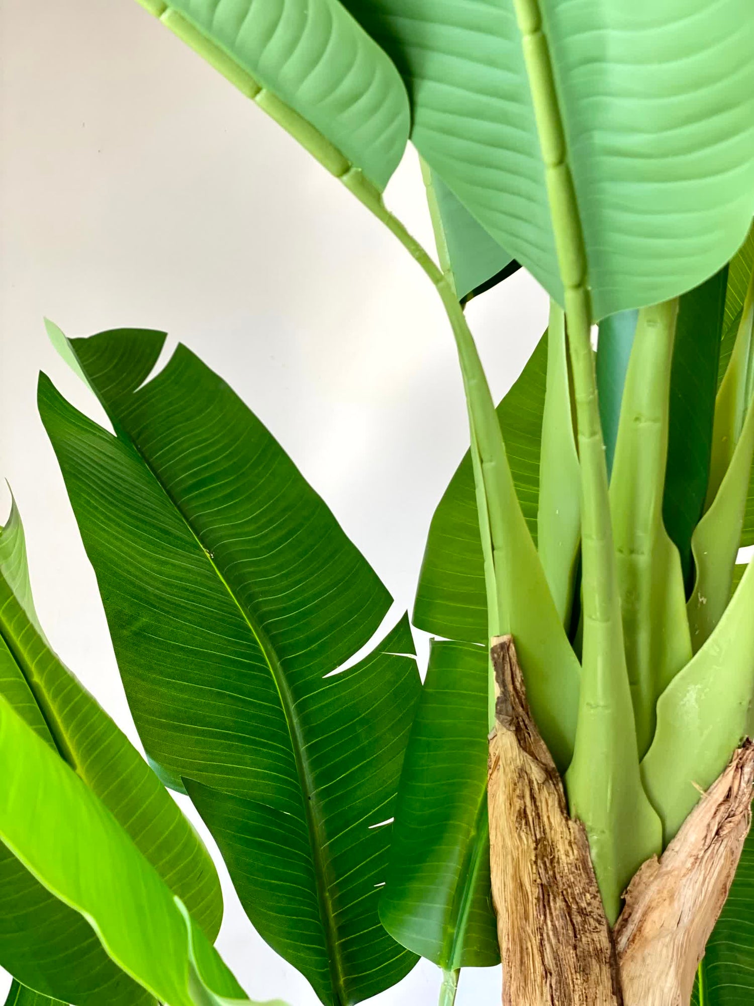Artificial Forest Banana Plant - 6.5 Feet