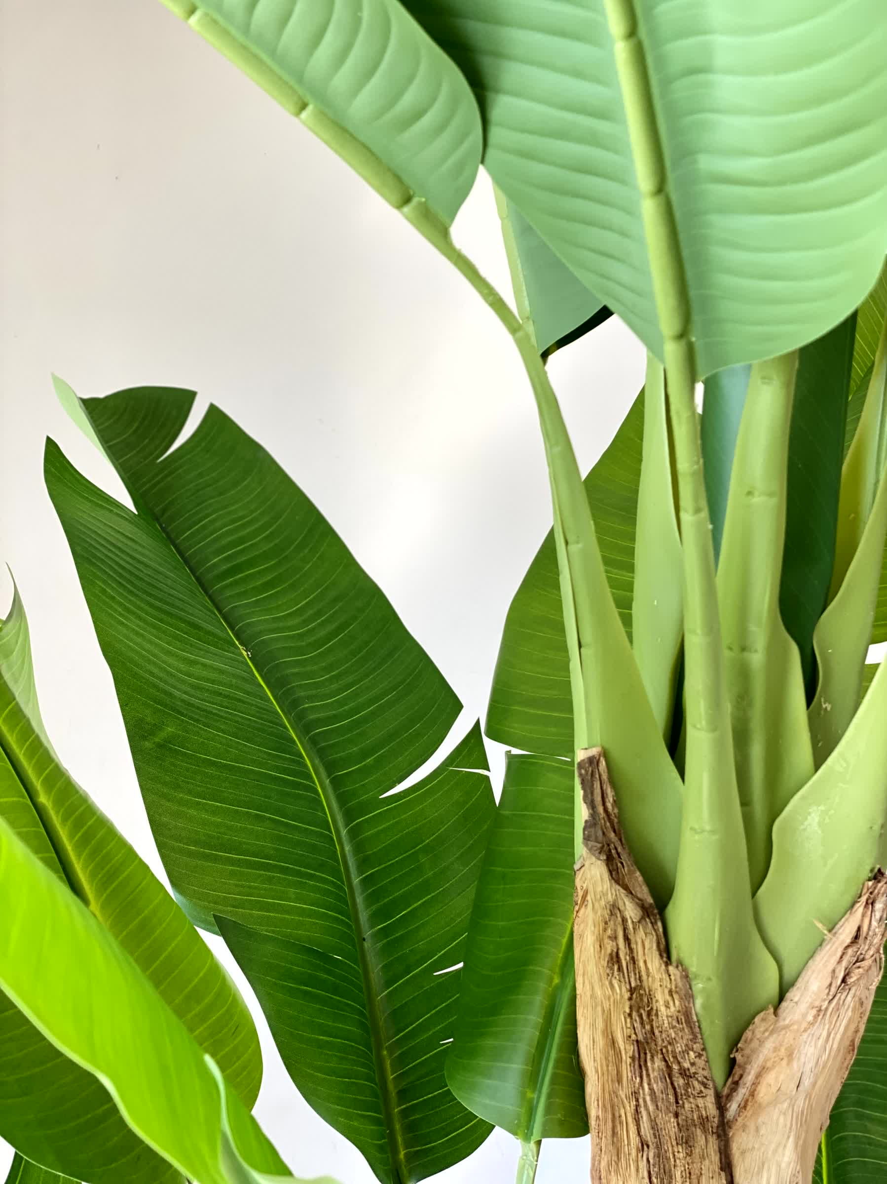 Artificial Forest Banana Plant - 6.5 Feet